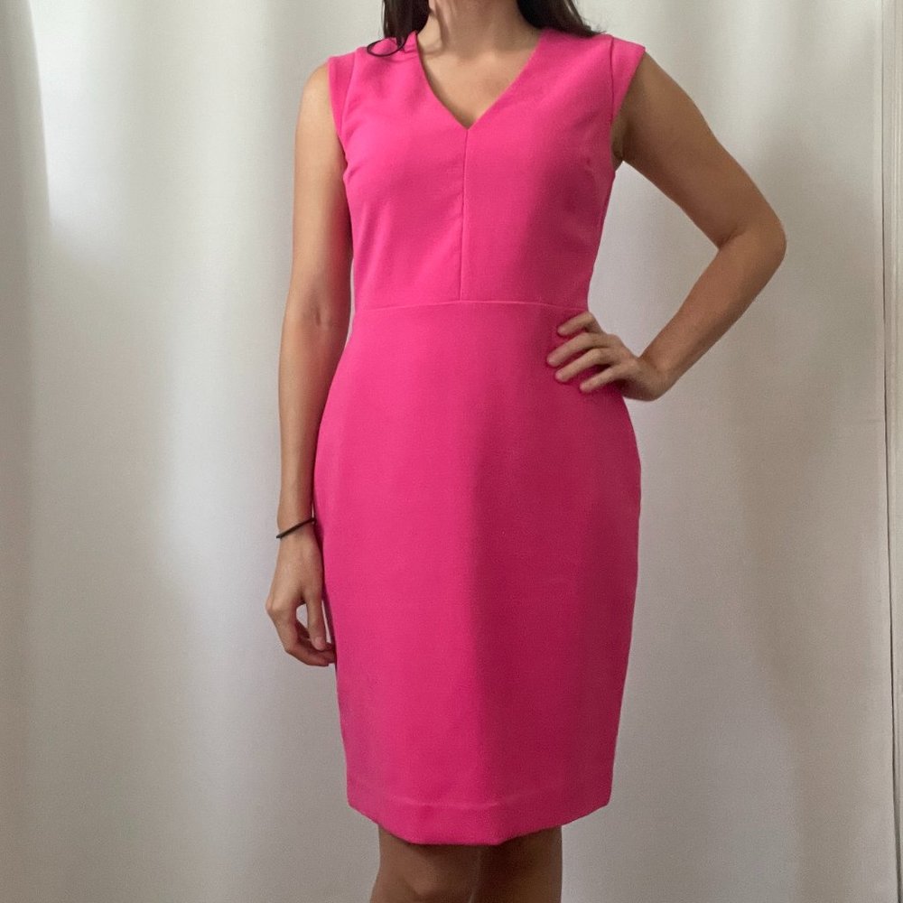 New Pink Banana Republic Sheath Dress (Size 2)